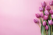 Purple tulip spring flowers on pastel pink background with copy space
