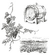 Sketches of wine making theme, vineyard landscape, wooden wine cask, vine branch with ripe grape bunch