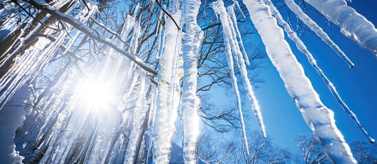 Poster - Clear day with shiny, clear ice icicles hanging.