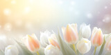 Fototapeta Tulipany - spring flowers background