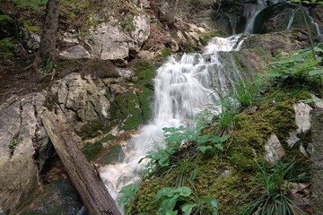 Canvas Print - Dr.-Vogelgesang-Klamm bei Spital am Pyhrn