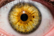 Fotografía macro de ojo humano