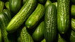 Raw Green Cucumbers. Cucumbers top view, greenhouse cucumbers, long cucumbers. AI Generative