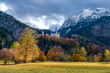 Fall colors around Neuschwanstein with snow on the Alps