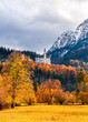 Fall colors around Neuschwanstein with snow on the Alps