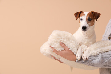 Sticker - Senior man holding cute dog on pillow against beige background