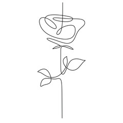 Wall Mural - Rose one continuous line drawing. Botanical plant concept