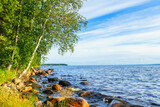 Fototapeta  - Summer sunny landscape of the rocky shoreline near the large Lake Onega in Karelia.