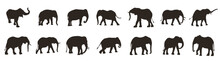 Elephant Icons Collection. Set Of Elephant Silhouettes In Different Poses Of Africans Elephant Or Jungle Elephant And Asian Elephant With Big Ears - Vector Illustration