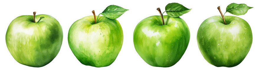 Wall Mural - Watercolor apples png collection transparent background