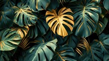 Green Gold Monstera Leaves Background, Nature And Abstract Texture, Tropical Leaves