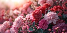 Valentine's Day Background With Colourful Flowers