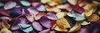 Close-up of multicolored flower petals scattered on the table.
