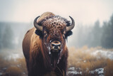 bull standing in the snow weather bokeh style background