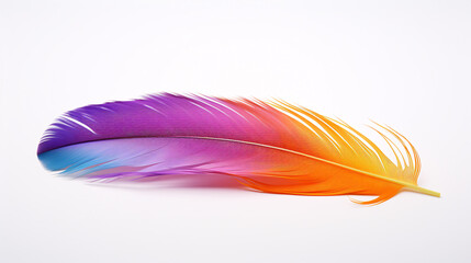 Close up of a single brightly colored feather isolated on a single color background 