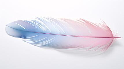 Close up of a single pastel colored feather isolated on a single color background 