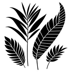  minimal tropical leave vector silhouette, black color silhouette, white background