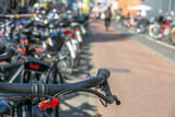 Fototapeta  - Urban Bike Parking in Sunny Amsterdam