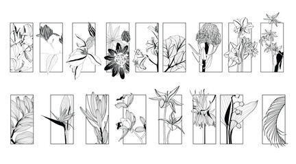 Illustration with big collection of spring and garden flowers frame background. Big set with garden and tropical flowers. Decorative element, card, logo, poster.