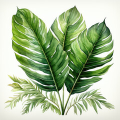 Wall Mural - watercolor tropical leave clipart, Generative Ai