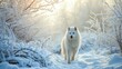 Wildlife photography of a white wolf in a winter landscape, showcasing the majestic Arctic animal.
