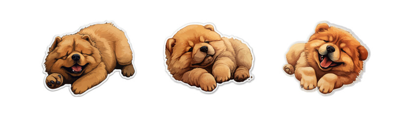 Wall Mural - Very cute realistic gold chow chow lies on its back set. Vector illustration design.