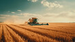 © stateronz - A farmer in a hat walks to a combine harvester working in a golden wheat field with high furrows. Agriculture. Growing wholesome organic produce. Harvest of wheat and barley. Rural landscape