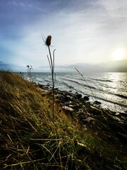 Wall Mural - sunset on the beach