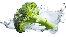 A Broccoli Splashing In Water