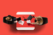 © Lustre Art Group  - Creative collage. Two young women sit at common table with documents and conduct interview against red studio background. Concept of business, work, job, meeting, office. Copy space. Ad