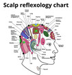scalp reflexology chart, head reflexology chart