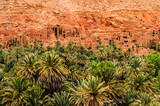 Fototapeta Góry - An oasis in the Sahara desert