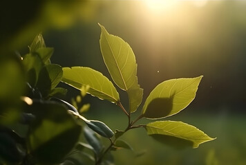 Poster - Fresh green leaf with sunlight on blurred greenery background. Natural green leaves bokeh.