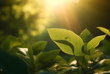 Poster - Fresh green leaf with sunlight on blurred greenery background. Natural green leaves bokeh.