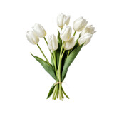 Fototapeta Tulipany - Tulips are a symbol of love and romance.