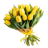 Fototapeta Tulipany - flower - Tulip (Yellow) flowers meaning Cheerful thoughts (4)