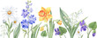 Floral border of the spring flowers painted with watercolors - daffodils, lily of the valley, daisy, larkspur and violets. For cards, invitations, packaging, and more!