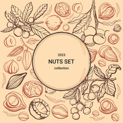 Poster - Isolated vector set of nuts. Nuts and seeds collection. Hand drawn objects. Peanuts, cashews, walnuts, hazelnuts, cocoa, almonds, chestnut, pine nut, nutmeg, peanut, macadamia, coconut, pistachios.