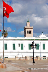 Wall Mural - The city of Tunis between past and future, the story of a world in transformation. Tunisia