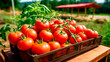 close up of a tray full of delicious freshly picked farm fresh tomatoes, organic product. against the background of a farm. AI generate