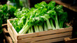 close up of a tray full of delicious freshly picked farm fresh celery, organic product. view from above. AI generate