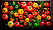 a large selection of tomatoes of different species and colours, freshly picked from the field, inside a wooden box seen from above.