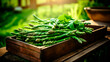 close up of a tray full of delicious freshly picked farm fresh green asparagus, organic product. view from above. AI generate