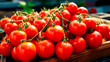 Extreme close up of a tray full of delicious freshly picked farm fresh common tomatoes, organic product. view from above. AI generate