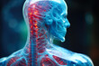 Translucent Blue Anatomy: Accentuating the Spinal Framework