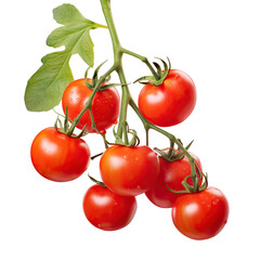 Wall Mural - Fresh delicious tomatoes on branch, cut out
