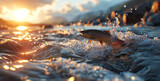 Fototapeta  - Trout jumping out of the turbulent waters of a mountain stream at sunrise