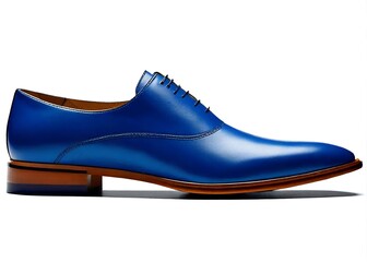 men's classic blue leather shoes on isolated or white background