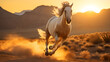 Majestic white horse galloping through wild dry landscape with sun settling down in the horizon
