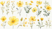  A Bunch Of Yellow Flowers Painted In Watercolor On A White Background, Each With A Single Stem Of The Same Flower.